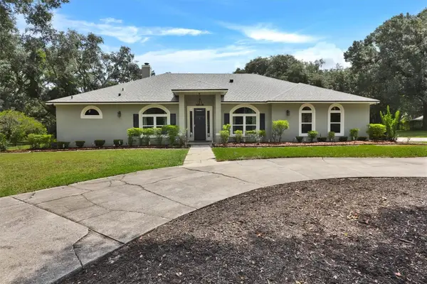17 Dingo Pl, APOPKA, FL 32712