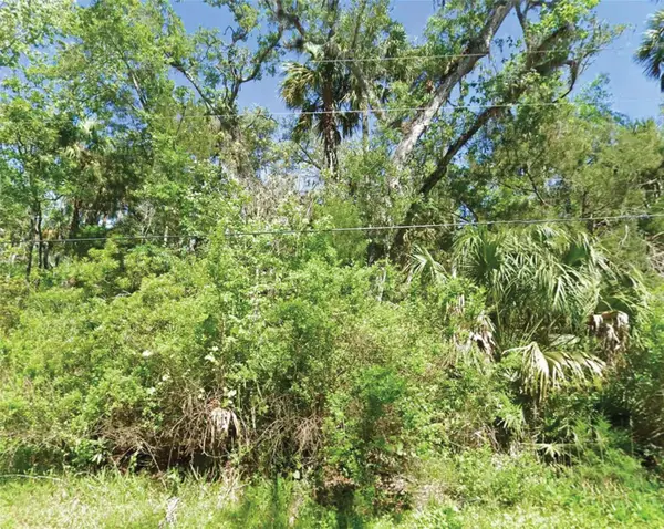 10243 W Palmetto Street, HOMOSASSA, FL 34448