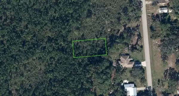 641 Mckinley Street, LAKE PLACID, FL 33852