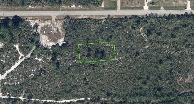 659 Buchanan Street, Lake Placid, FL 33852 - #1