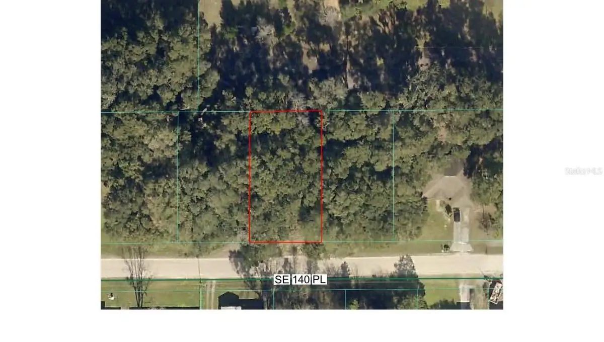 TBD SE 140th Place, Summerfield, FL 34491 - #1