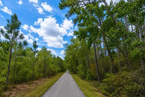 00 Van Fleet Trail, POLK CITY, FL 33868