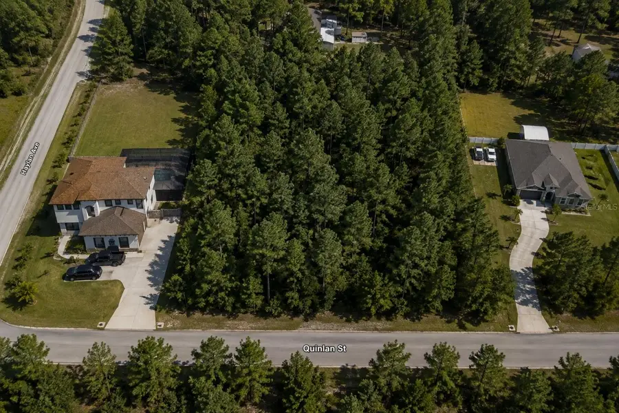 Quinlan Street, Orlando, FL 32833 - #3