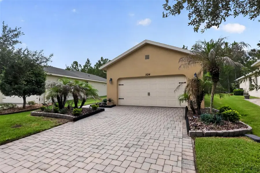524 Presido Park Place, Poinciana, FL 34759 - #3
