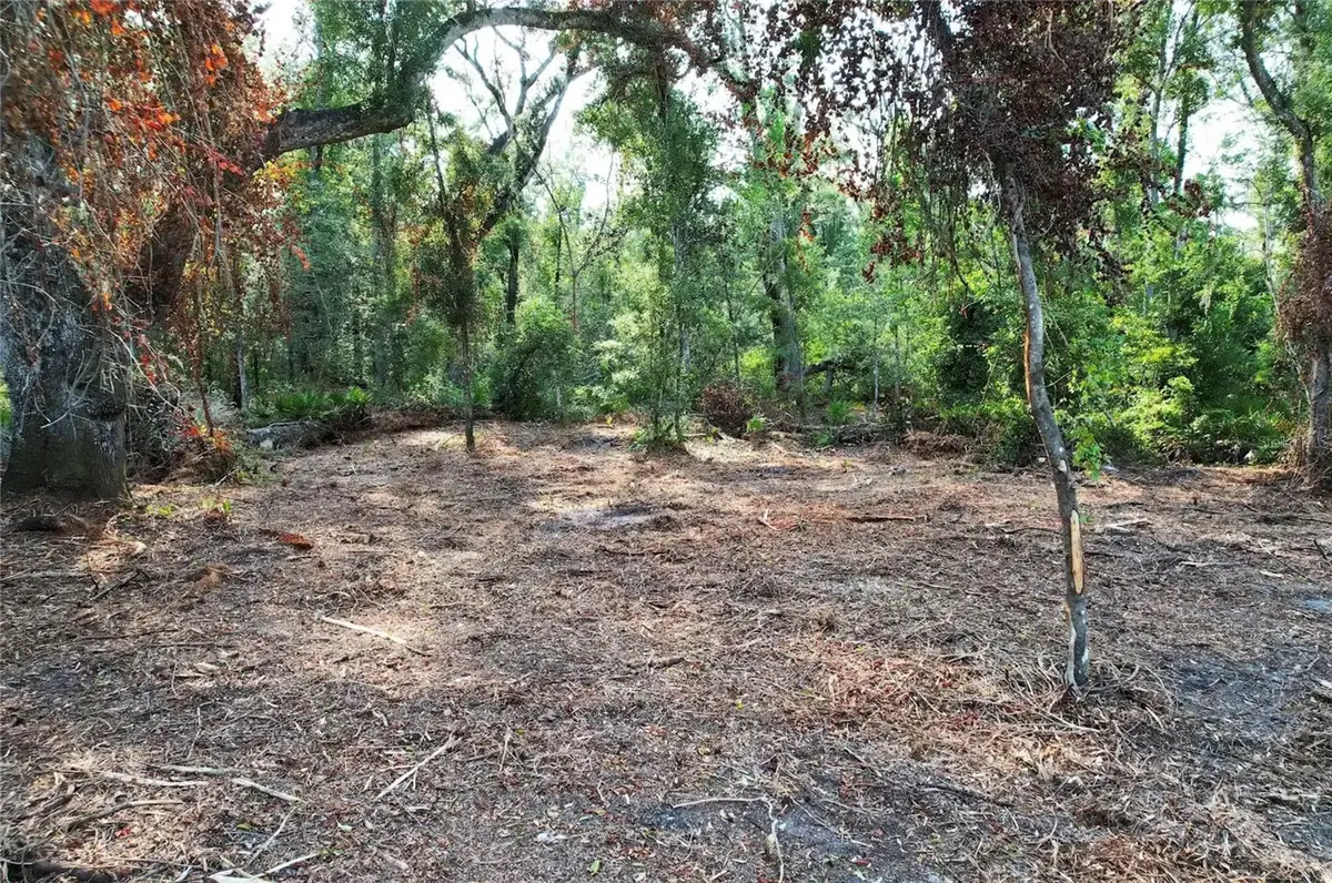 1615 NE 497th Street, Old Town, FL 32680 - #1