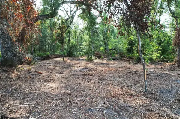 1615 NE 497th Street, OLD TOWN, FL 32680