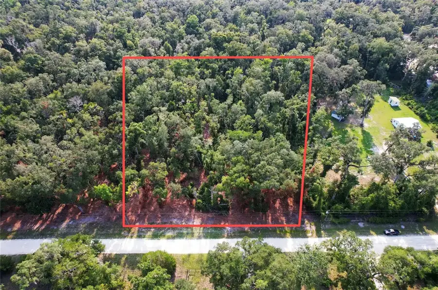 1615 NE 497th Street, Old Town, FL 32680 - #2