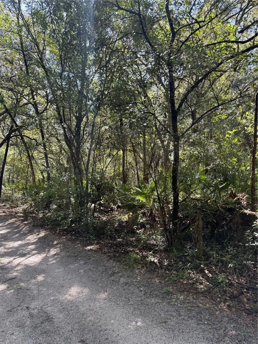 Tbd Sw 152nd Place, Dunnellon, FL 34432 - #3