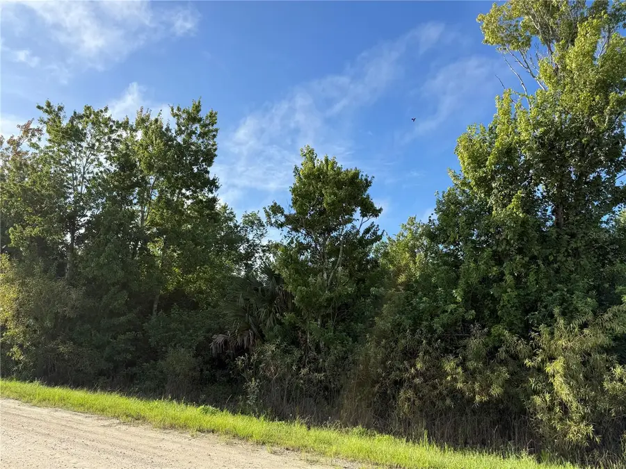 720 Shady Hallow Boulevard W, Naples, FL 34120 - #3