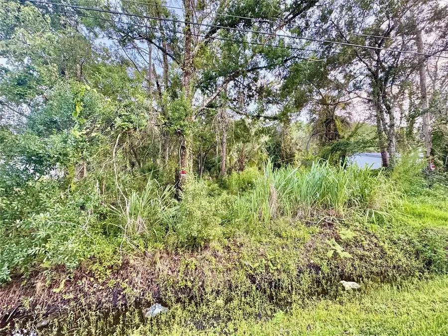 18704 16th Avenue, Orlando, FL 32833 - #2