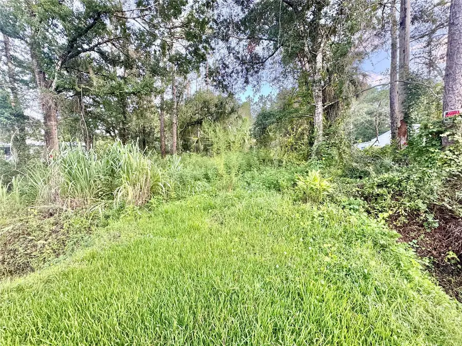 18704 16th Avenue, Orlando, FL 32833 - #3