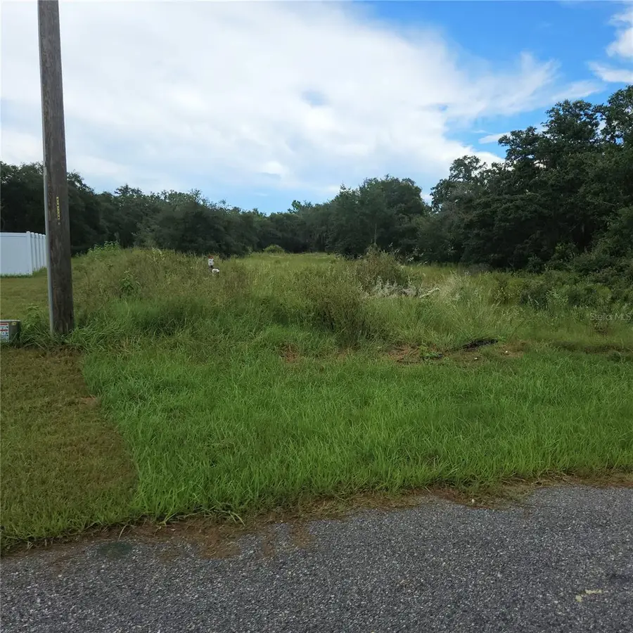 1621 Pickerel Court, Poinciana, FL 34759 - #2