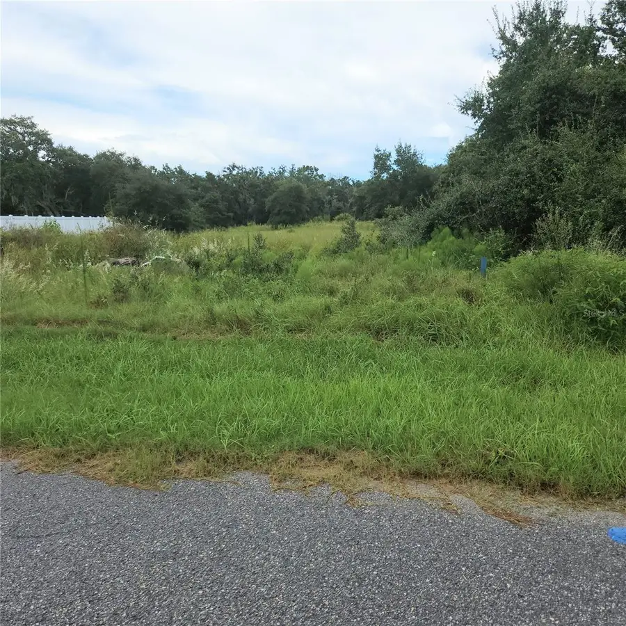 1621 Pickerel Court, Poinciana, FL 34759 - #3