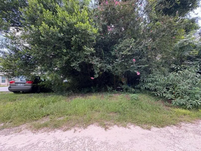 3935 SE 140th Lane, Summerfield, FL 34491 - #1