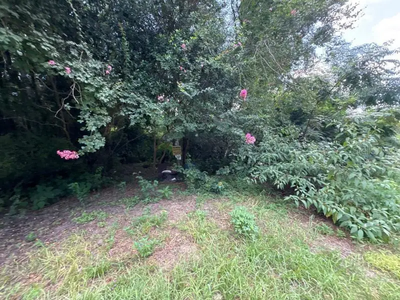 3935 SE 140th Lane, Summerfield, FL 34491 - #3
