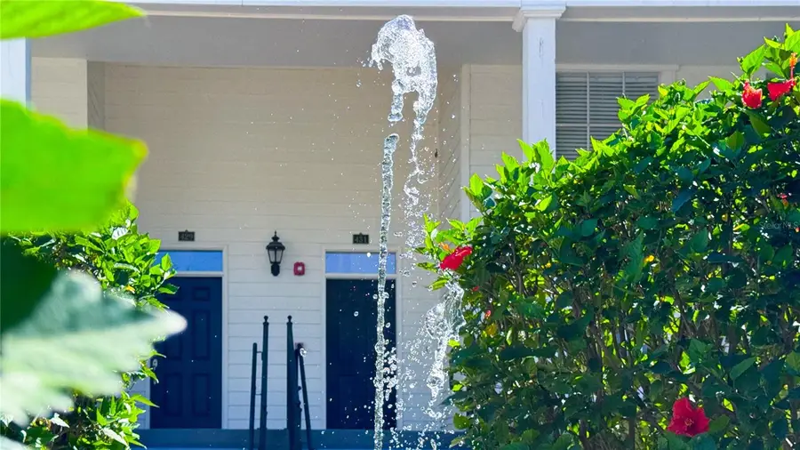 431 Water Street, Celebration, FL 34747 - #2