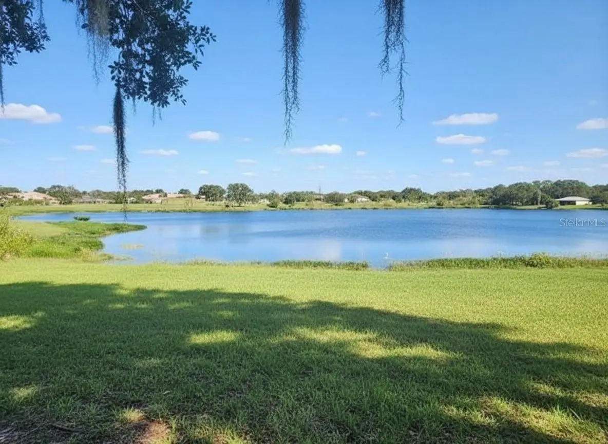 14322 Lake Junietta Drive, Tavares, FL 32778 - #1