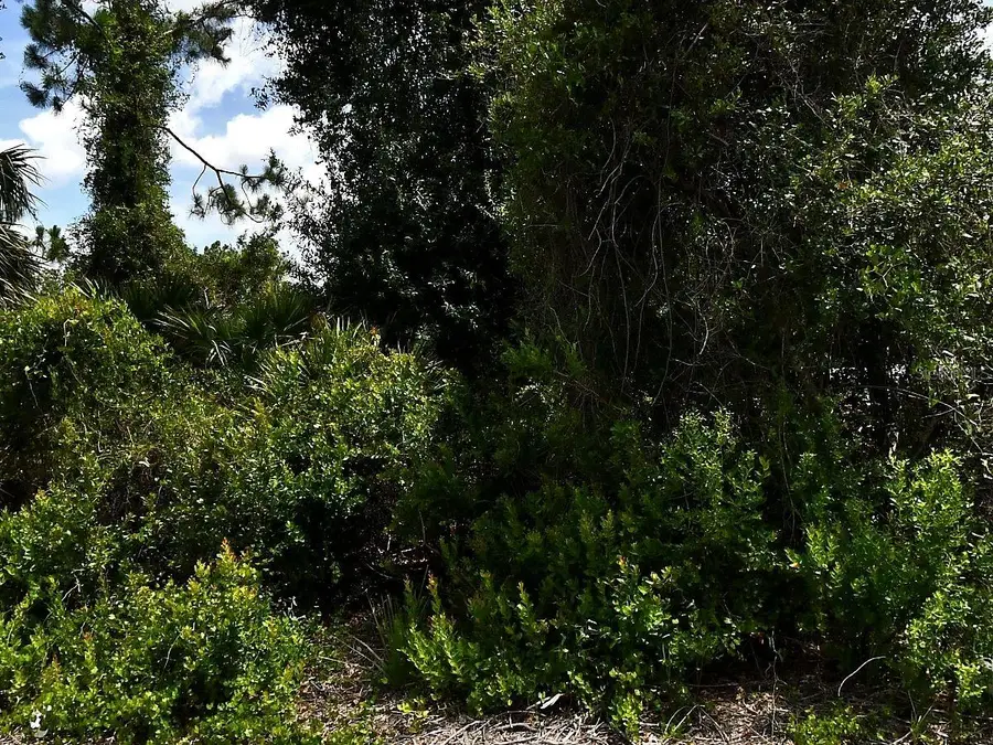 De Brita Road, North Port, FL 34291 - #3