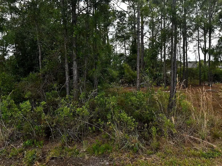Blackman Street, North Port, FL 34291 - #3