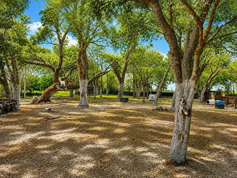 Mammoth Grove Road, Lake Wales, FL 33898 - #2