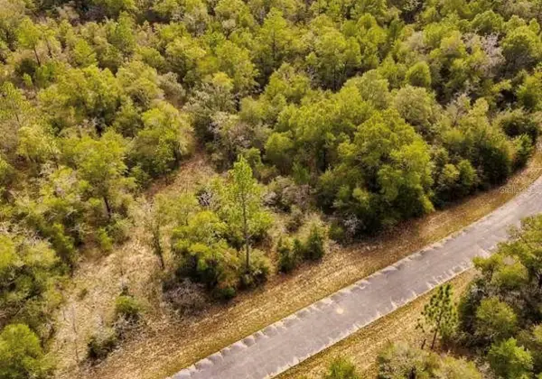 LOT# 42 Dandelion Drive, CHIPLEY, FL 32428