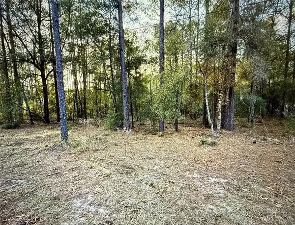 Sw 205th Circle, DUNNELLON, FL 34431
