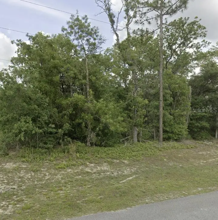 Lot 4 SW 155 Place, Ocala, FL 34473 - #2
