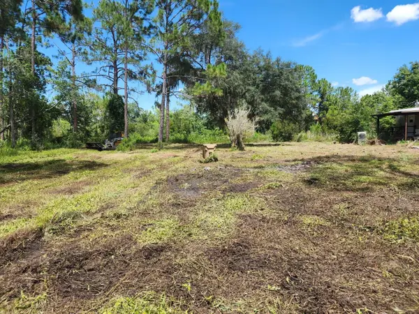 7244 Groveland Farms Road, GROVELAND, FL 34736