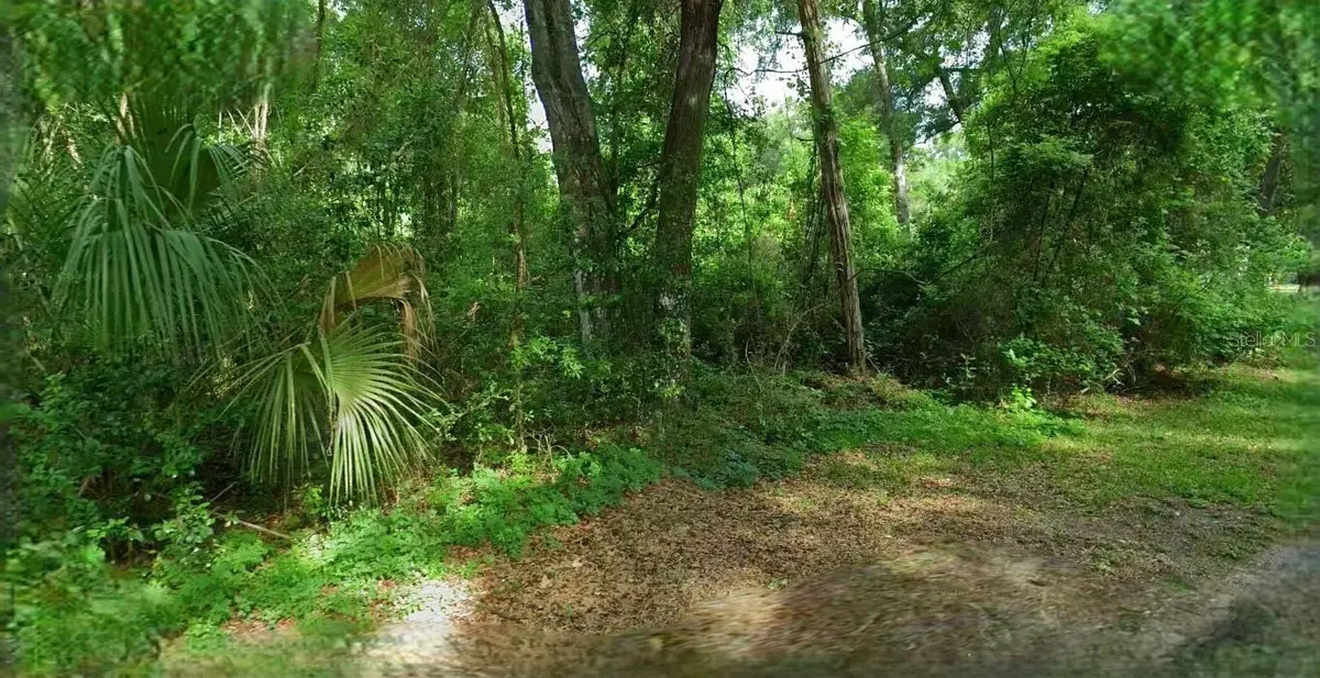 4226 N Forest Lake Drive, Hernando, FL 34442 - #1