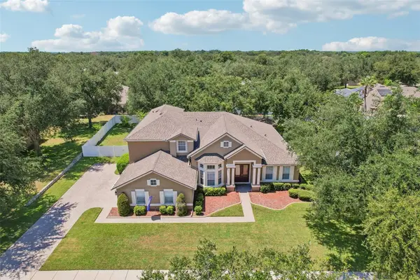 2431 Ponkan Summit Drive, APOPKA, FL 32712