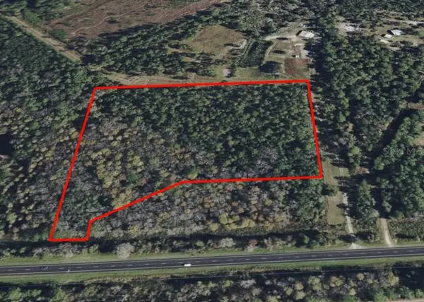 000 S Us Hwy 17 Highway, PIERSON, FL 32180