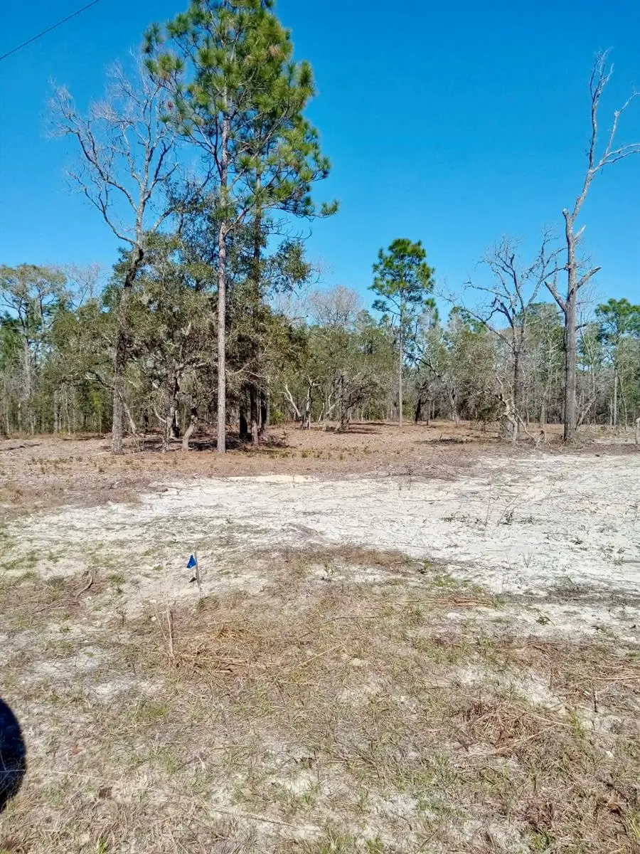 0 SE 125th Court, Dunnellon, FL 34431 - #1