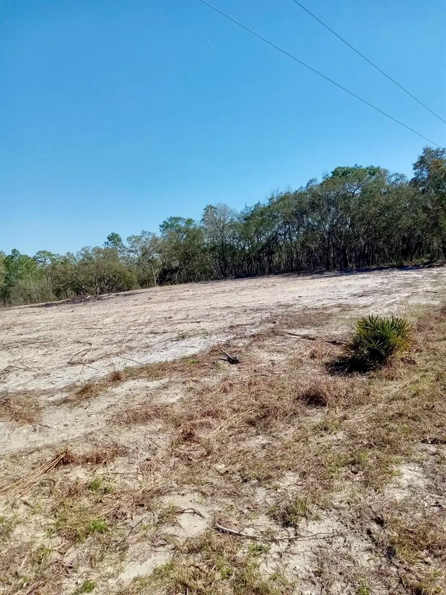 0 SE 125th Court, Dunnellon, FL 34431 - #2