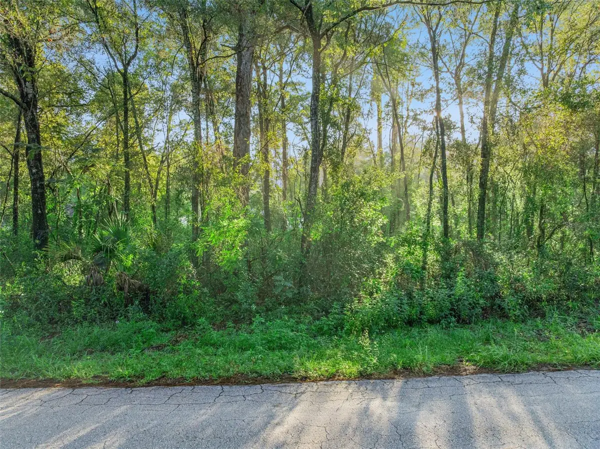 29 N Rooks Avenue, Inverness, FL 34453 - #1