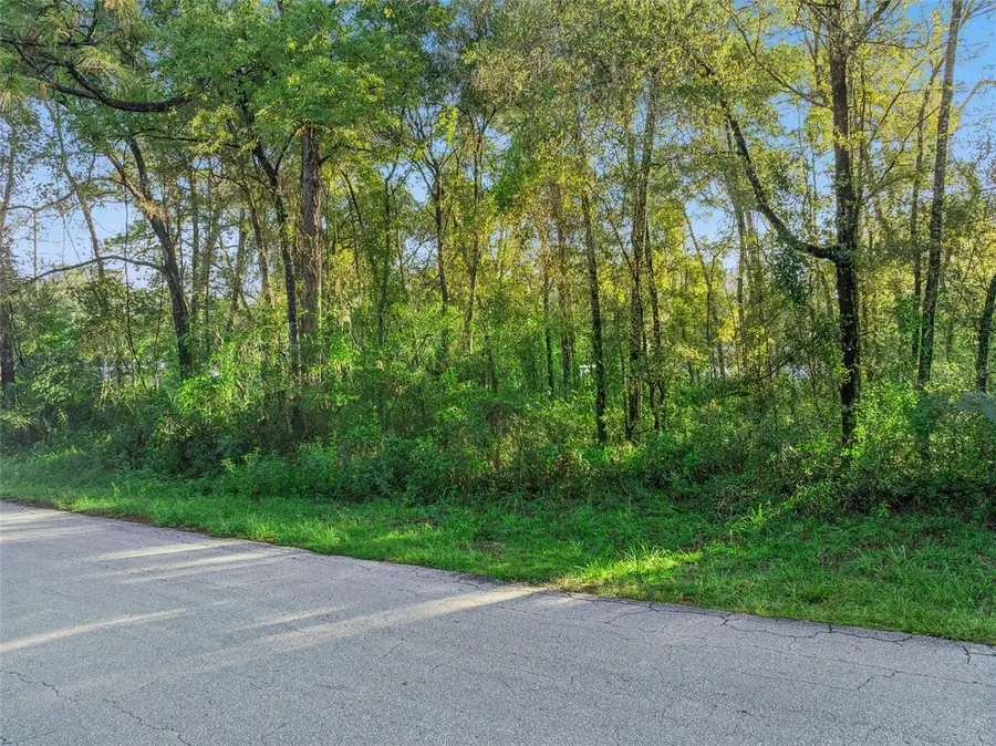 29 N Rooks Avenue, Inverness, FL 34453 - #2