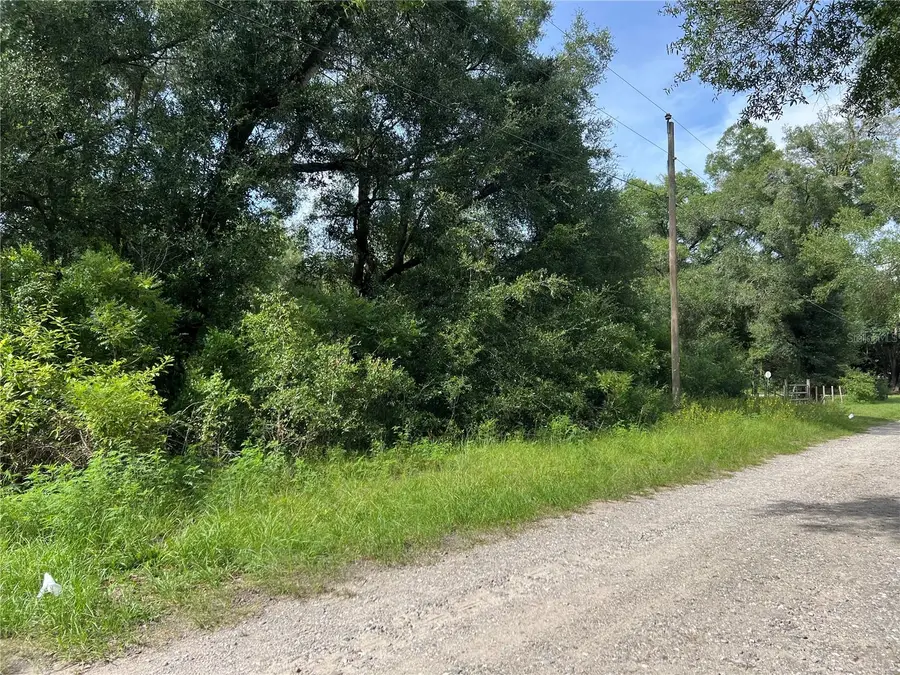 3677 E Yandle Place, Inverness, FL 34453 - #2