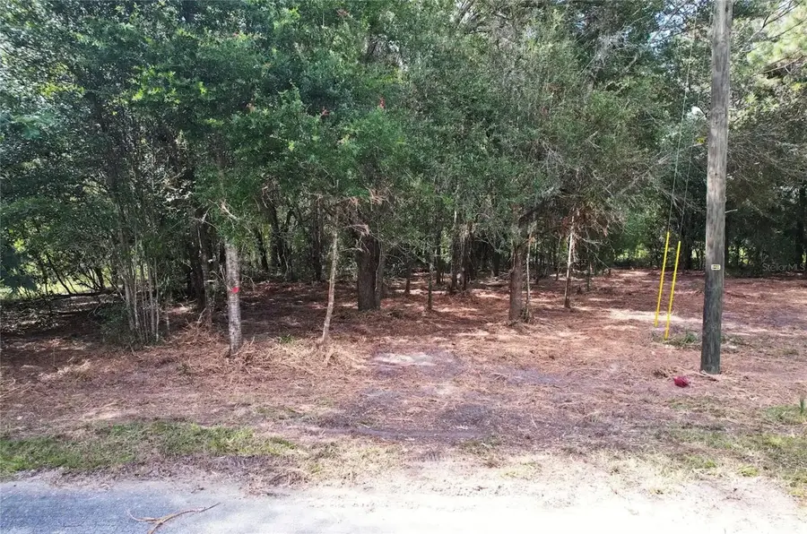 8746 N Catapane Loop, Crystal River, FL 34428 - #2