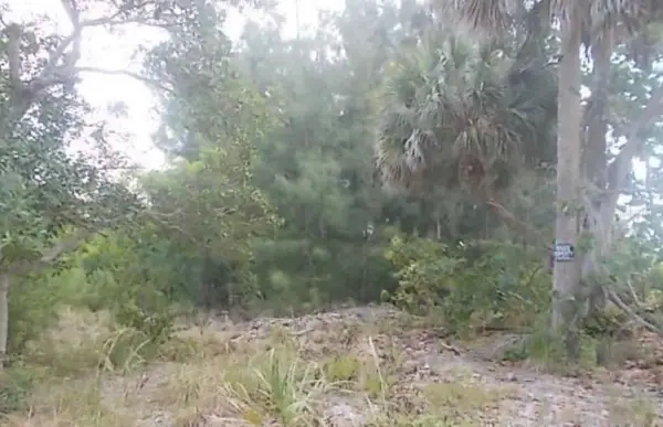 Lot 5 Grant Island Estate, GRANT VALKARIA, FL 32949