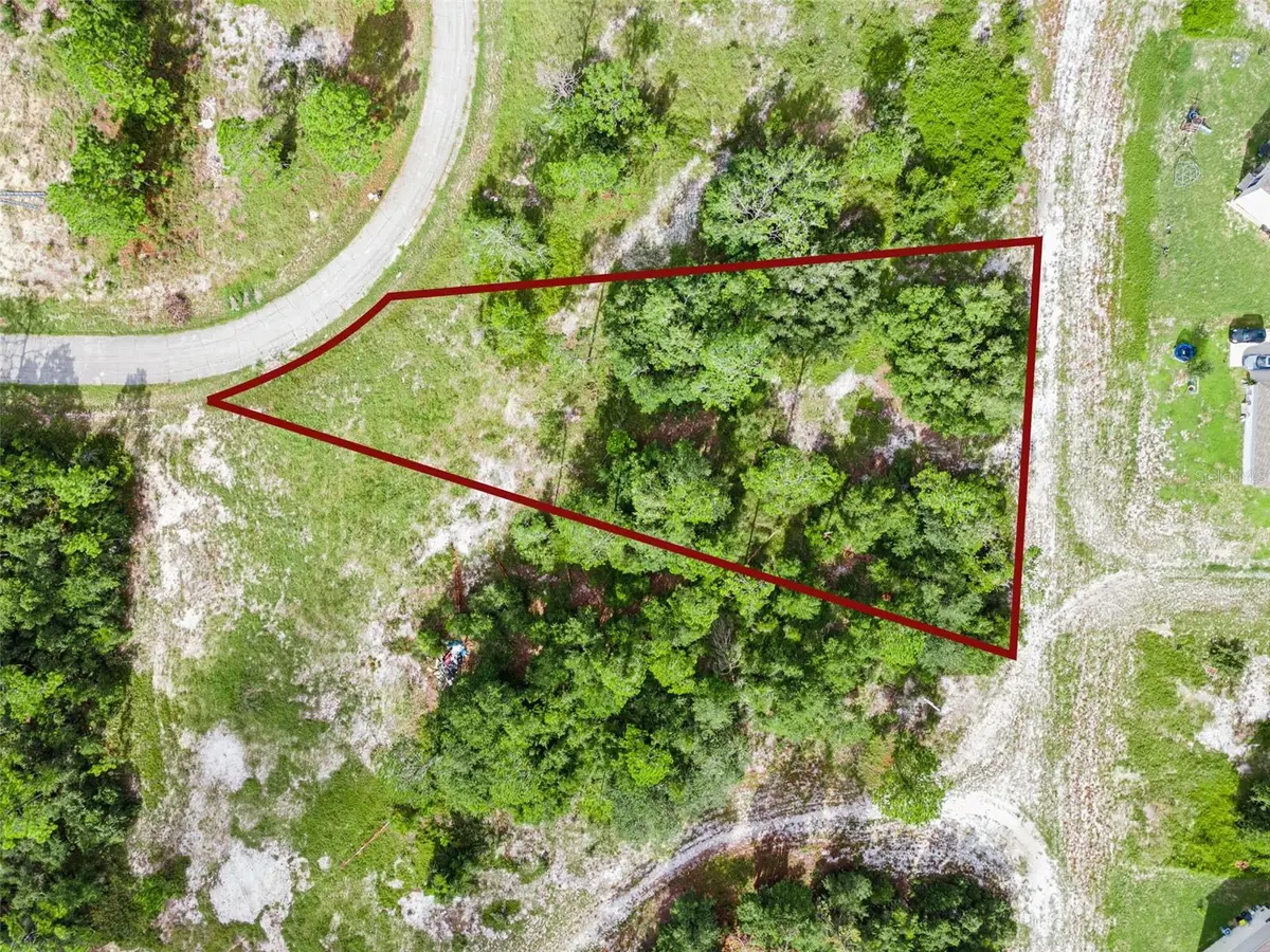 1319 Homosassa Court, Poinciana, FL 34759 - #1
