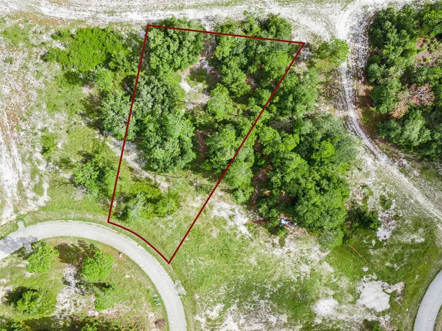 1319 Homosassa Court, Poinciana, FL 34759 - #2
