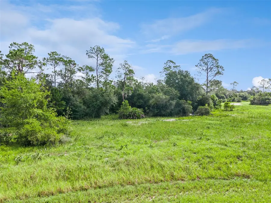 1319 Homosassa Court, Poinciana, FL 34759 - #3