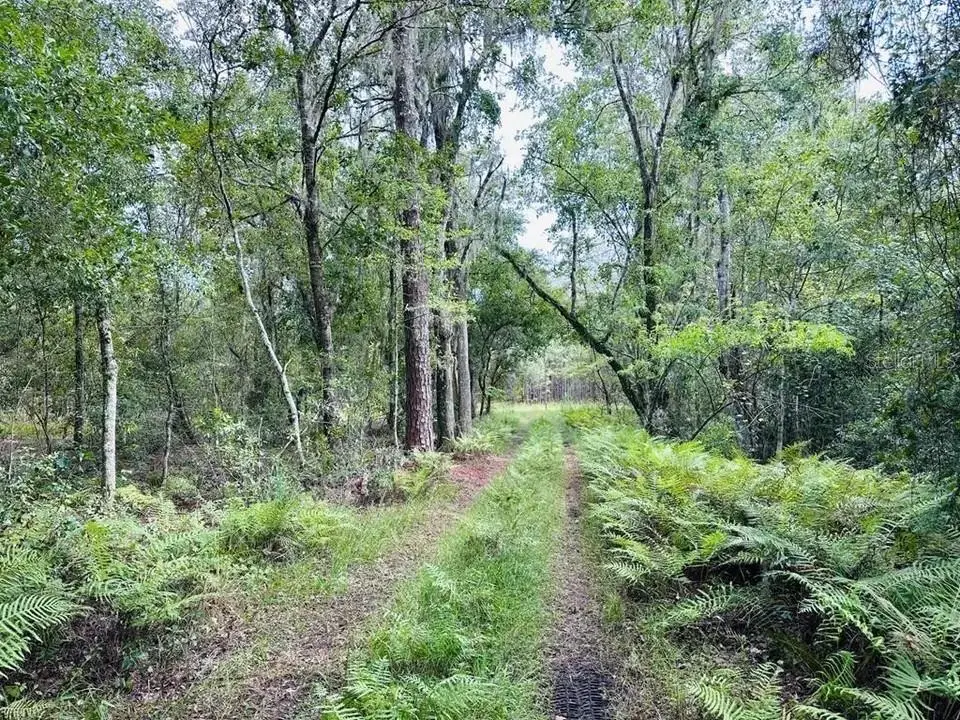 10579 SE County Road 337, Trenton, FL 32693 - #1