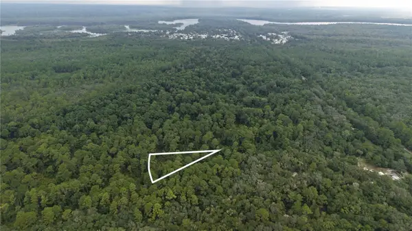 162 Carriage Place, SATSUMA, FL 32189