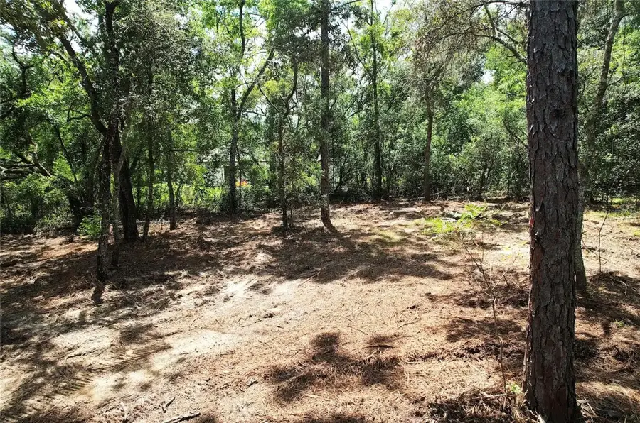 3094 E Scofield Street, Inverness, FL 34453 - #2