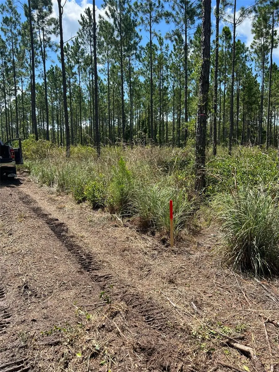 Combined Lots 3 & 4 SE Family Road, Lake City, FL 32025 - #3