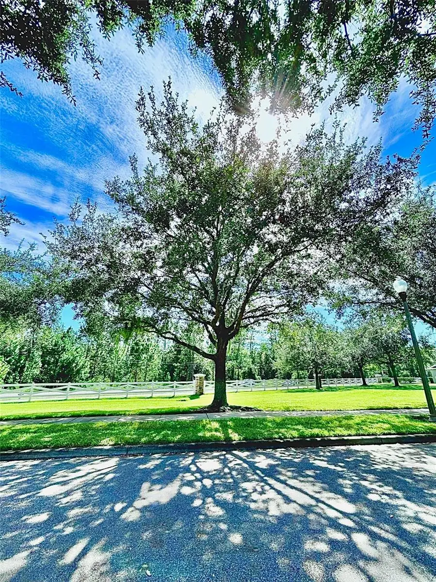 12417 Cruxbury Drive, Windermere, FL 34786 - #3