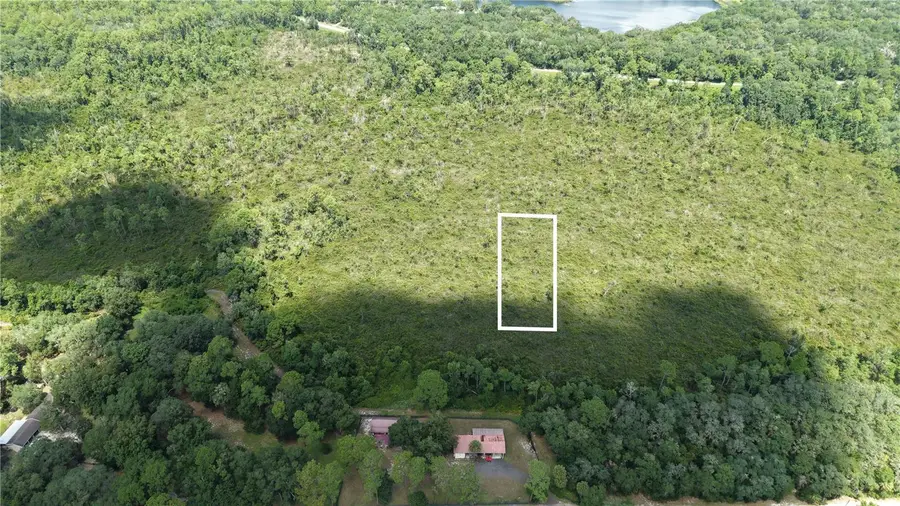 Crocus Ln, Hawthorne, FL 32640 - #3