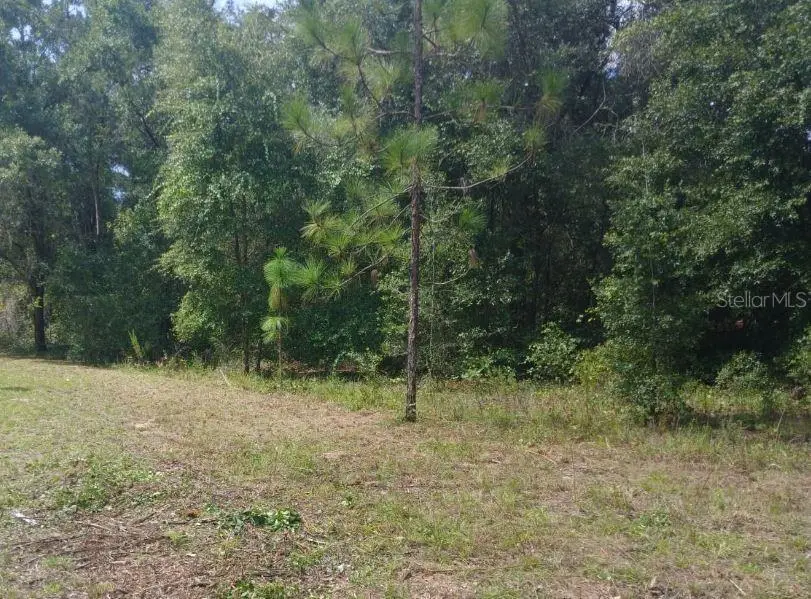 52nd Avenue Nw, Ocala, FL 34482 - #1