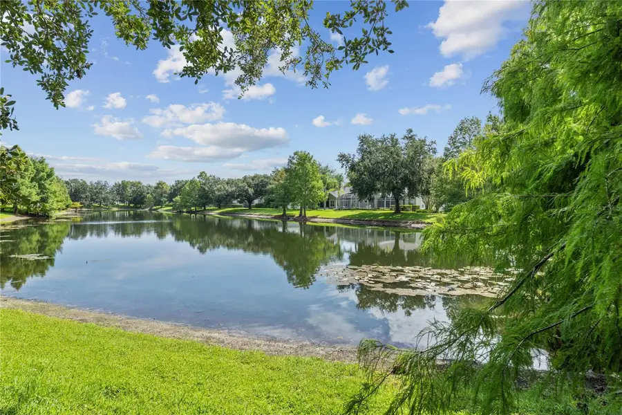 6243 Andreozzi Lane, Windermere, FL 34786 - #3
