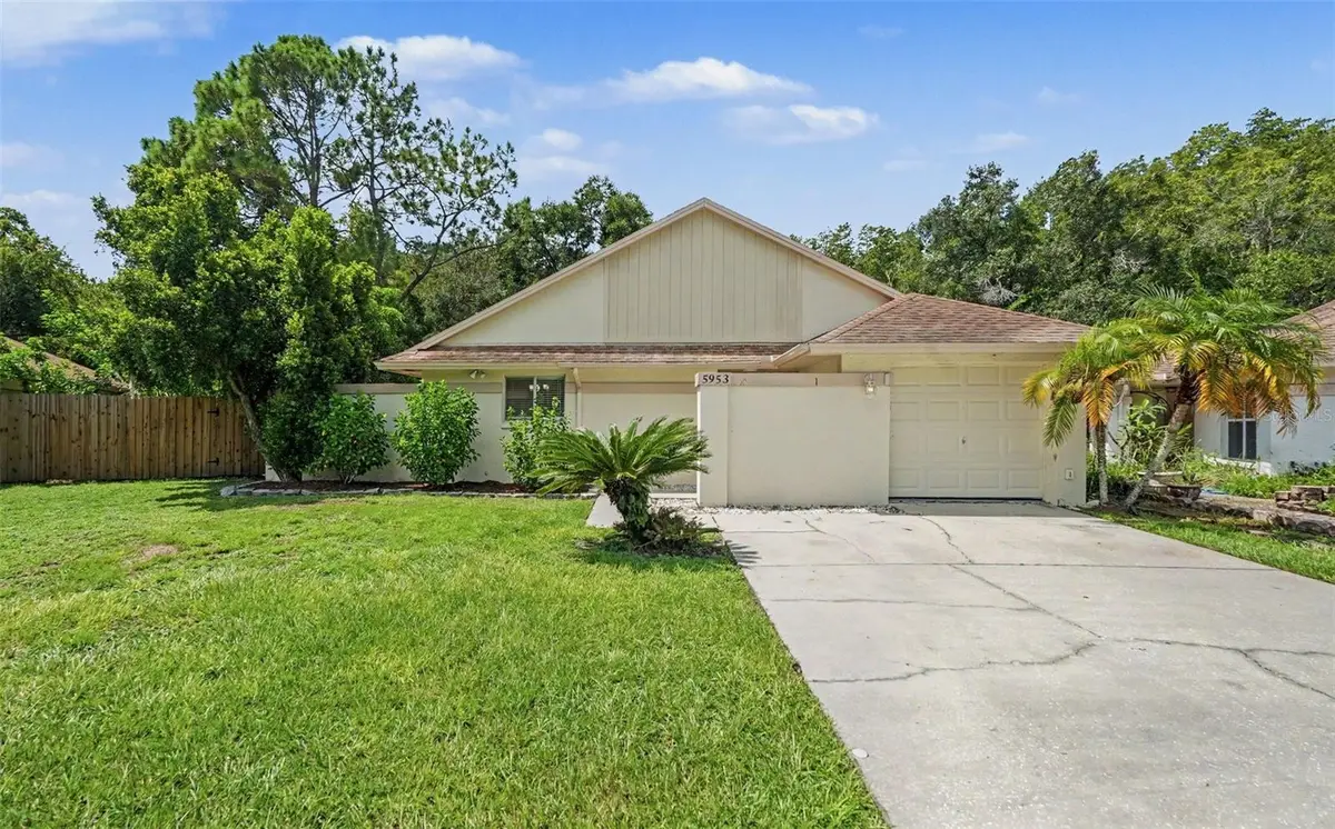 5953 Birchwood Drive, Tampa, FL 33625 - #1